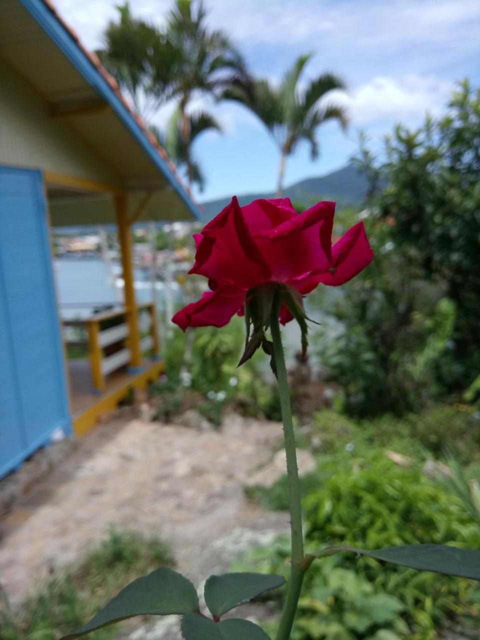 Makaira Sea Life Hostel Florianopolis Exterior foto